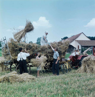 Agriculteurs chargeant des gerbes de blé