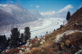 Le glacier d'Aletsch en Suisse
